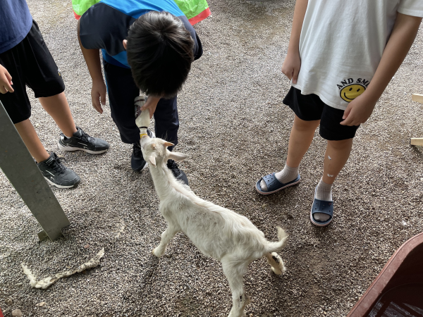 꼬마동물농장